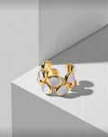 Pauli Ring